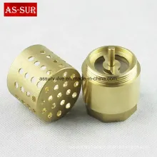 Brass Spring Check Valve with Filter as-C003